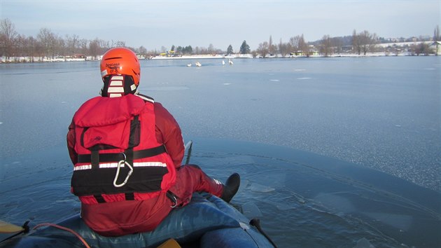 Labut na zamrzl hladin pouze posedvaly, pomoc hasi nepotebovaly (1. nora 2014).