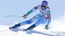 Tina Mazeová se řítí pro zlato ve sjezdu na mistrovsví světa v Beaver Creeku. Tina Mazeová se řítí pro zlato ve sjezdu na mistrovsví světa v Beaver Creeku.