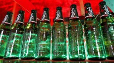 Klasické zelené lahve pivovaru Carlsberg