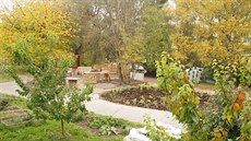 V komunitní zahrad na Opatov si mete pronajmout svj záhon a vyuívat...