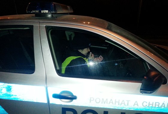 Policejní kontrola (ilustraní foto).