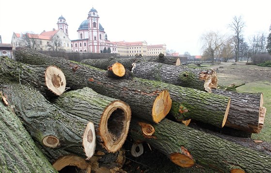 Zámek v Jaromicích nad Rokytnou se schovává za hromady pokácených strom.