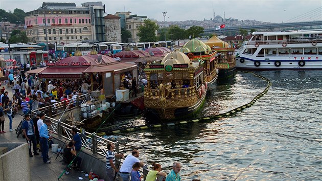 Galatsk most je znm velkm mnostvm ryb. Turist si zde mohou pjit pruty a nvnadu a chytat ryby.