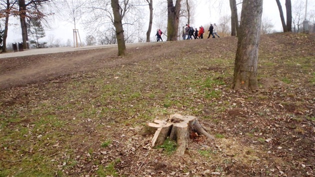 Kácení strom ve Stromovce