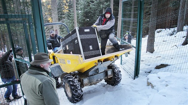 Vlici pevej ve specilnm boxu vystlanm senem.