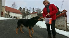 Anna Dirbáková odchytává ve Vojtanově toulavé psy na vařené dršťky. Anna Dirbáková odchytává ve Vojtanově toulavé psy na vařené dršťky.