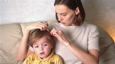 Že se vašemu dítěti ve vlasech usadily vši, to nikdy není příjemné zjištění. Že se vašemu dítěti ve vlasech usadily vši, to nikdy není příjemné zjištění.