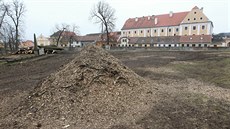 Kácení strom u zámku v Jaromicích nad Rokytnou.