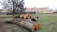 Kácení strom u zámku v Jaromicích nad Rokytnou.