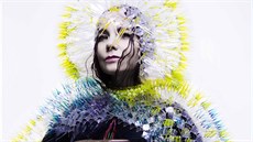 Björk Björk