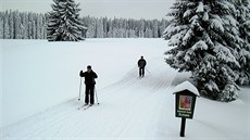 Stopa u Zlaté Studny