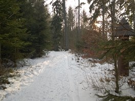 Chvlema jsem si pipadal jak na horch, spousta snhu, ale belo se dobe.