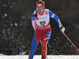 Eva Vrabcov-Nvltov ve skiatlonu na MS ve Falunu.