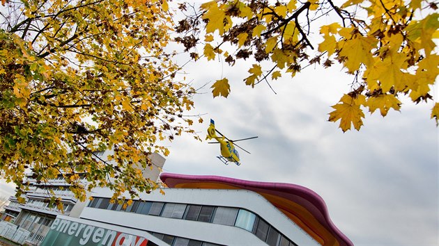 Vrtulnk pistv na stenm heliportu modernho pavilonu urgentn medicny.