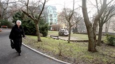 Většinu parku za ústecým kulturním domem mělo pronajaté město a platilo za... Většinu parku za ústecým kulturním domem mělo pronajaté město a platilo za...