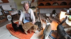 Kočičí útulek ve Skrýšově na Jihlavsku. Žije v něm na 150 koček. Útulek má ale... Kočičí útulek ve Skrýšově na Jihlavsku. Žije v něm na 150 koček. Útulek má ale...