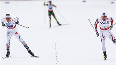 FINIŠ O ZLATO. Nor Petter Northug bojuje se Švédem Calle Halfvarssonem ve... FINIŠ O ZLATO. Nor Petter Northug bojuje se Švédem Calle Halfvarssonem ve...