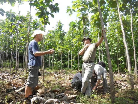 Zámrem souasného vedení Les R, které nastoupilo ped dvma lety, je celý pozemek plantáe i s budovami prodat.