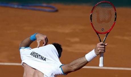 Leonardo Mayer z Argentiny bhem daviscupového duelu s Brazílií.