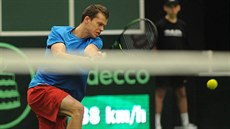 Dvacetiletý Adam Pavlásek při své daviscupové premiéře ve čtyřhře s Austrálií. Dvacetiletý Adam Pavlásek při své daviscupové premiéře ve čtyřhře s Austrálií.