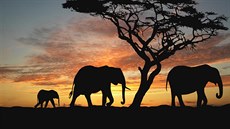 africké nebe (ilustrační snímek) africké nebe (ilustrační snímek)