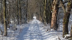 V hlubokých lesích nad hájovnou Poátky