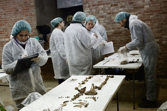 Antropologové zkoumají Cervantesovy kosti