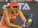 Maria arapovov na turnaji v Indian Wells.