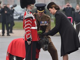V Británii se princ William a jeho thotná manelka Kate vydali do kasáren ve...