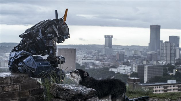 Z filmu Chappie