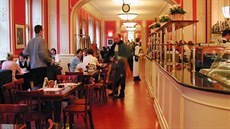Café Louvre - chodíval sem Albert Einstein, Franz Kafka i bratři Čapkové. Café Louvre - chodíval sem Albert Einstein, Franz Kafka i bratři Čapkové.