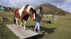 Kon nemají rádi ustivé nebo bílé vci, bojí se úzkého prostoru nebo lávek. Na...