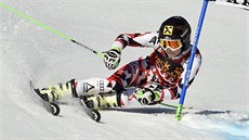 Rakouská lyžařka Anna Fenningerová na trati obřího slalomu v Aare. Rakouská lyžařka Anna Fenningerová na trati obřího slalomu v Aare.