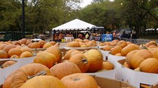 New York, Central Park - Halloween