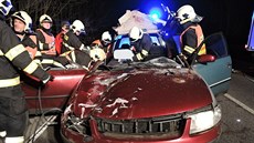 Srážka volkswagenu s krávou v Dolní Libchavě (9. 3. 2015) Srážka volkswagenu s krávou v Dolní Libchavě (9. 3. 2015)