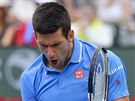 Novak Djokovi ve finle turnaje v Indian Wells.