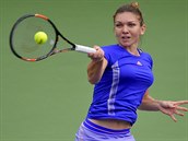 Rumunsk tenistka Simona Halepov ve finle turnaje v Indian Wells s Jelenou...