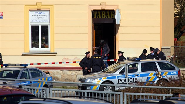 Policist vyetuj nsiln trestn in v Chebu.