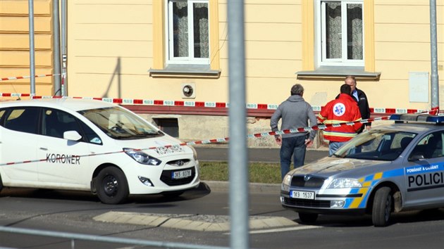 Policist vyetuj nsiln trestn in v Chebu.