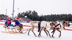 STŘÍBRNÁ TEČKA. Gabriela Soukalová si v sibiřském Chanty Mansijsku užila druhé... STŘÍBRNÁ TEČKA. Gabriela Soukalová si v sibiřském Chanty Mansijsku užila druhé...