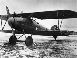 Albatros D.V byl posledním v ad sériov vyrábných dvojploných stíhacích...