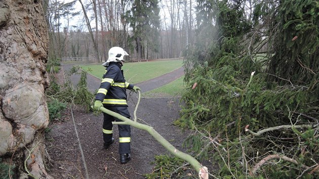 Zsah hasi pi odklzen spadlho stromu v Turnov.