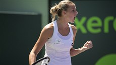 Karolína Plíšková zažila v utkání proti Andree Petkovičové i radostné chvíle.... Karolína Plíšková zažila v utkání proti Andree Petkovičové i radostné chvíle....