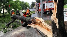 Kvůli nepříznivému počasí pražští hasiči museli do 14. hodiny vyjíždět k... Kvůli nepříznivému počasí pražští hasiči museli do 14. hodiny vyjíždět k...
