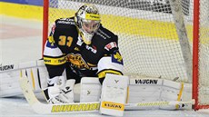 Brankář Litvínova Pavel Francouz. Brankář Litvínova Pavel Francouz.