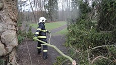 Zásah hasi pi odklízení spadlého stromu v Turnov.