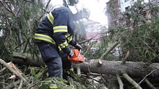 Zásah hasi v Turnov. kde spadl na pechod pro chodce strom.