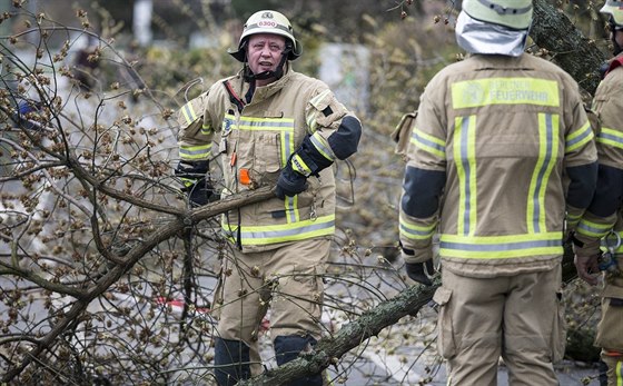 Berlíntí hasii odklízejí poapadané stromy (1. dubna 2015)