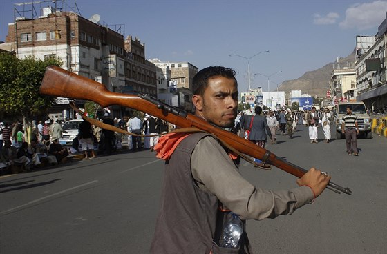 Jementí povstalci navrhují mírový dialog. Chtjí konec nálet a dohled  (5....