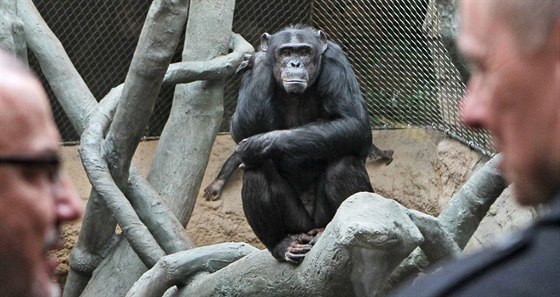 Zoo Ostrava má díky nejvtí investici v historii zahrady velmi moderní Pavilon...